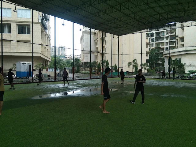 Turf photo 5