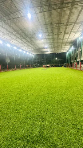 Turf photo 6