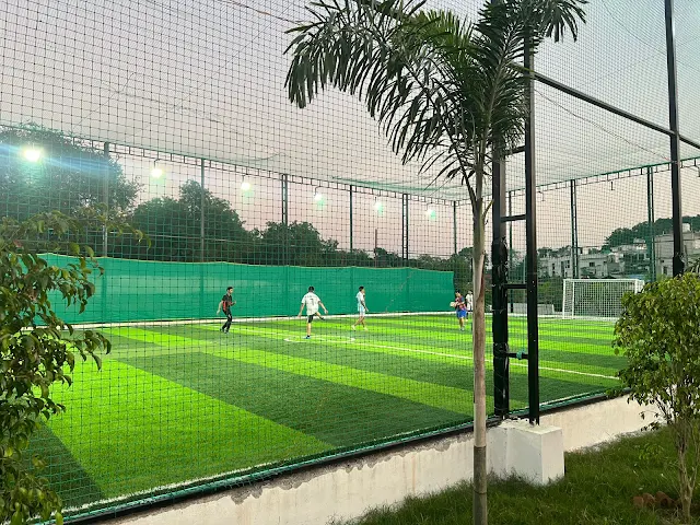 Turf main photo