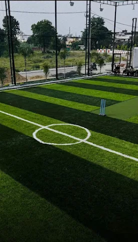 Turf photo 5