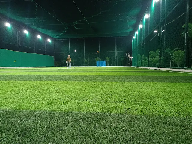 Turf photo 2