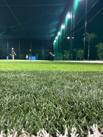 Turf photo 7