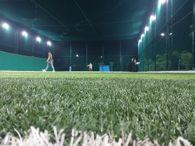 Turf photo 8