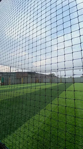 Turf photo 3