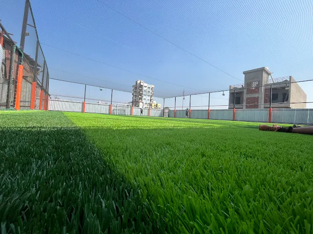 Turf photo 2