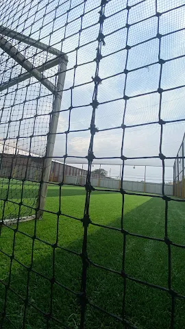 Turf photo 5