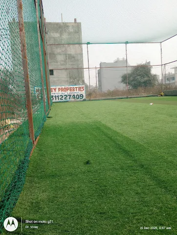 Turf photo 2