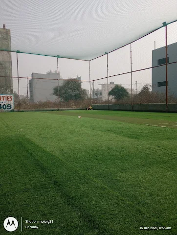 Turf photo 3