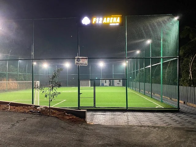 Turf photo 2