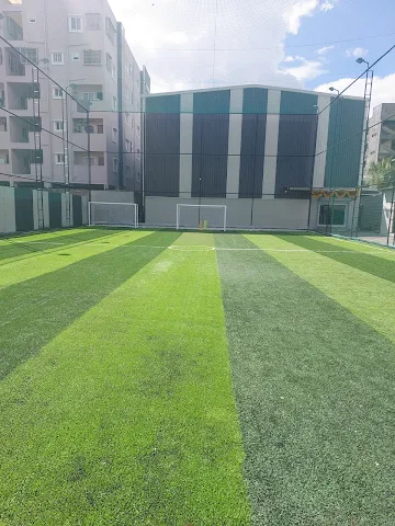 Turf photo 3