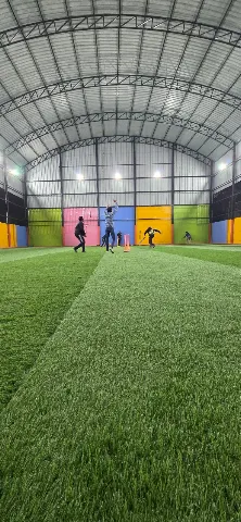 Turf photo 4