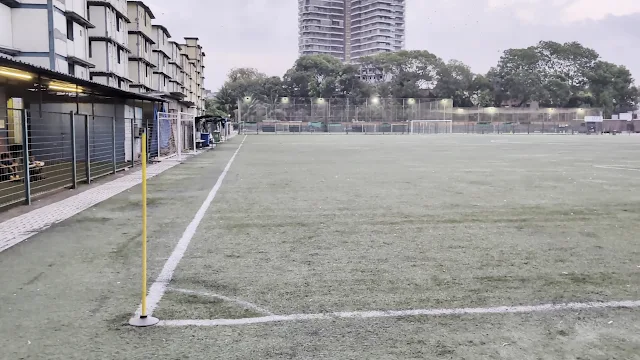 Turf photo 8