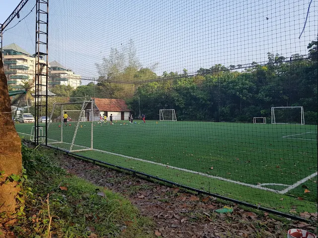 Turf photo 2