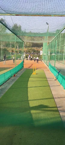 Turf photo 6