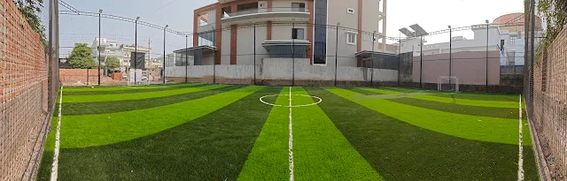 Turf photo 2