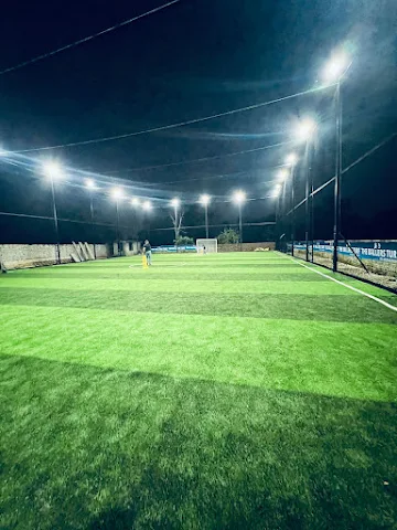 Turf photo 8