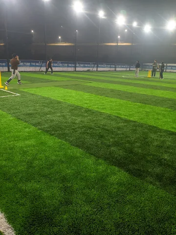 Turf photo 5