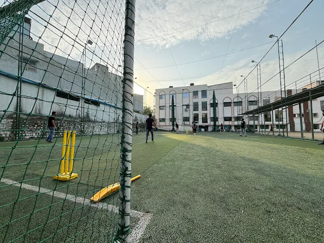 Turf main photo