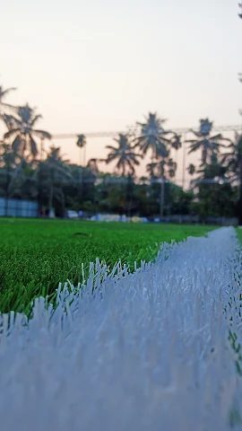 Turf photo 5