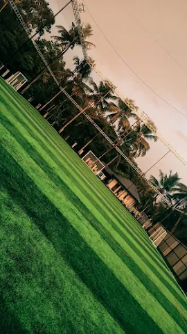 Turf photo 4