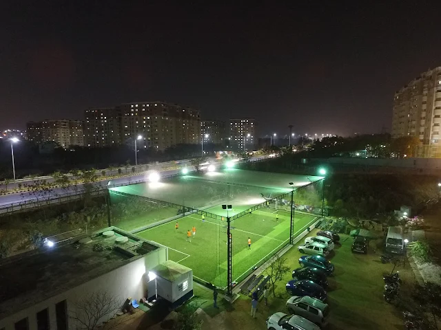 Turf photo 10