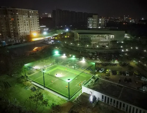 Turf photo 2