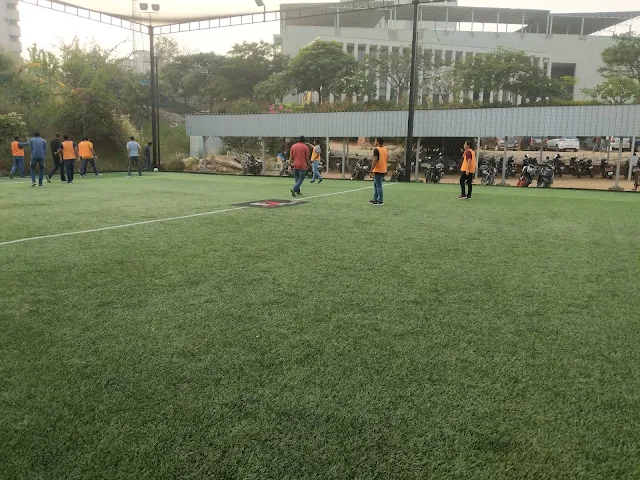 Turf photo 4