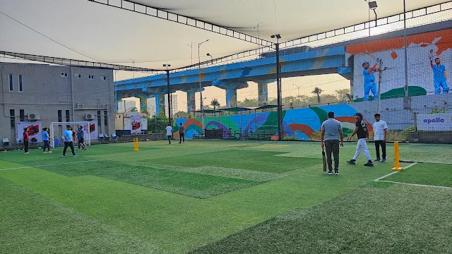 Turf photo 5