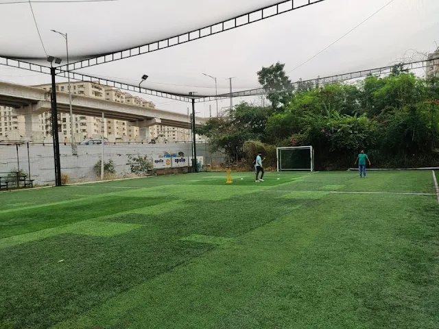 Turf photo 6