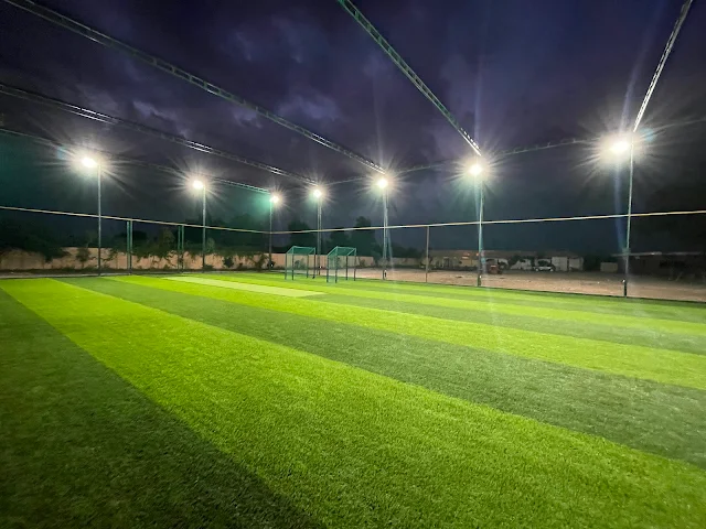 Turf photo 2