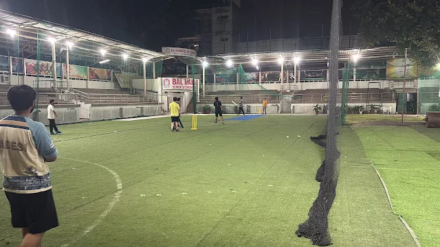 Turf photo 3