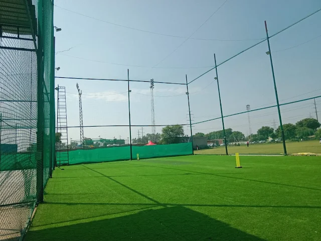 Turf photo 5