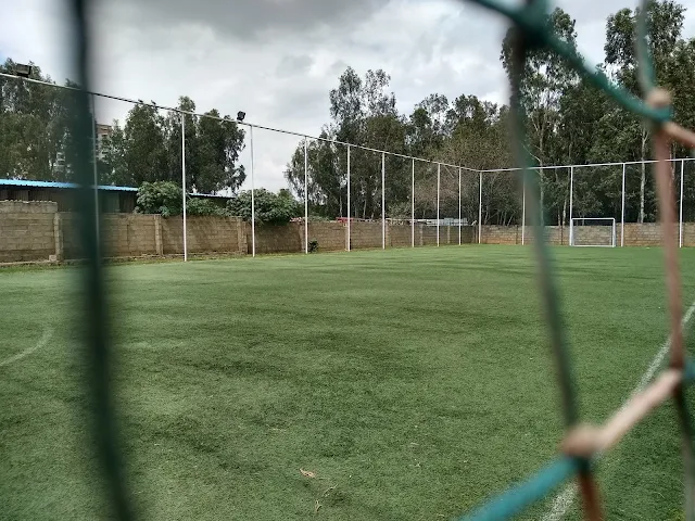 Turf main photo