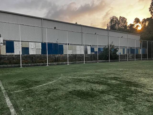 Turf photo 2
