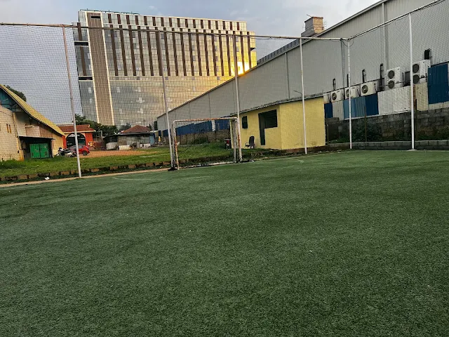 Turf photo 3