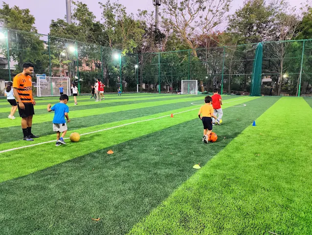 Turf photo 2