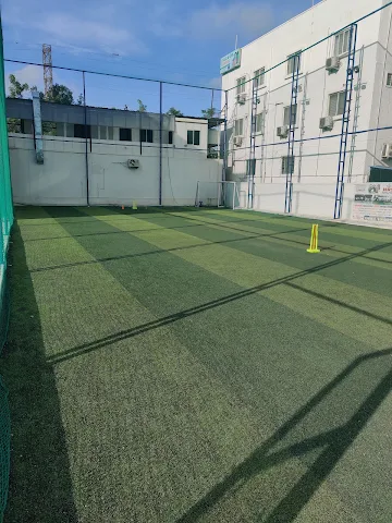 Turf photo 7
