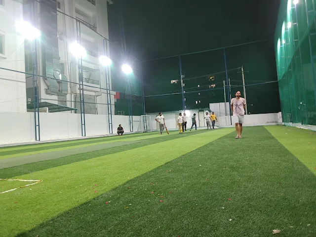 Turf photo 2