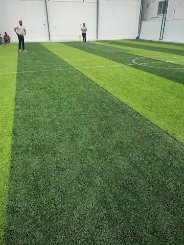 Turf photo 5