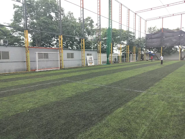 Turf photo 10