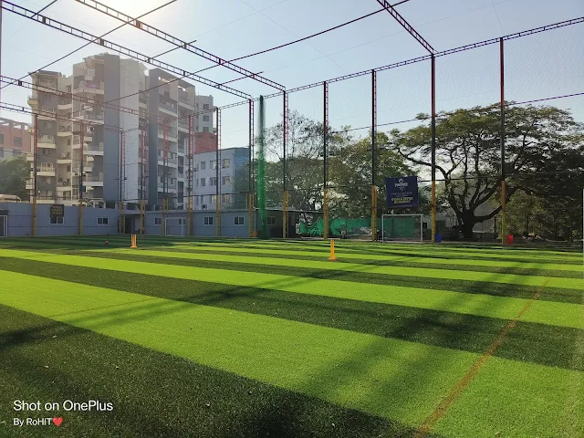 Turf main photo