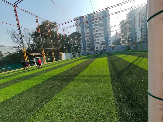 Turf photo 9