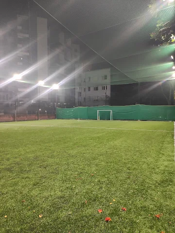 Turf photo 6