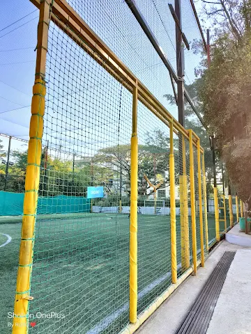 Turf photo 3
