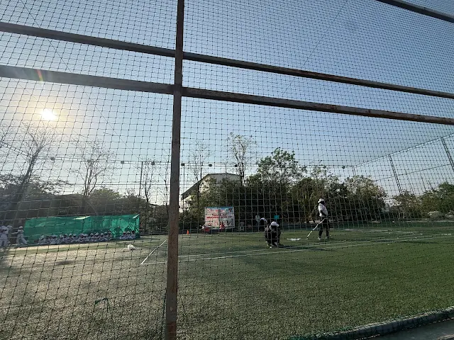 Turf photo 2