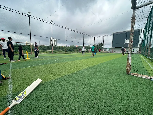 Turf main photo