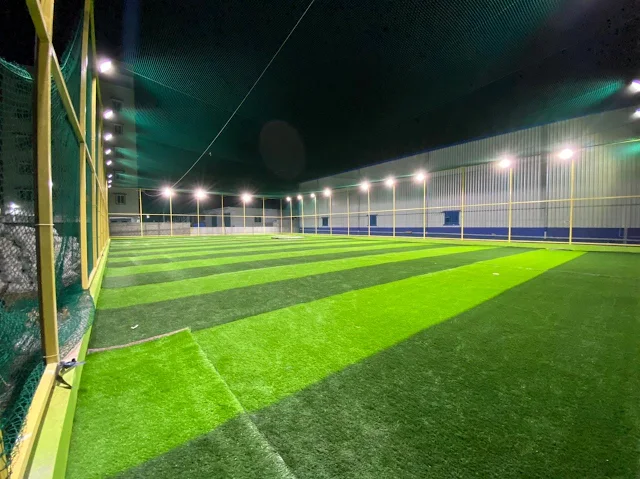 Turf photo 2