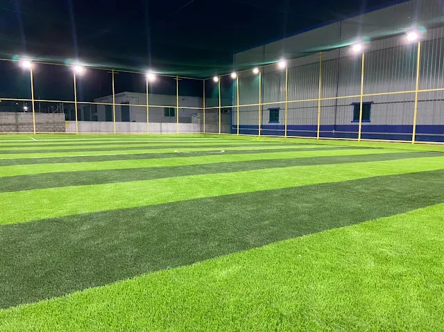 Turf photo 3