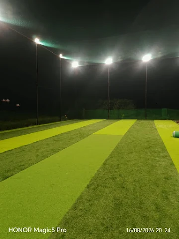 Turf photo 4