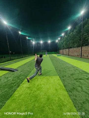 Turf photo 2